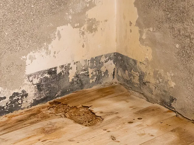 Bautrocknung MK